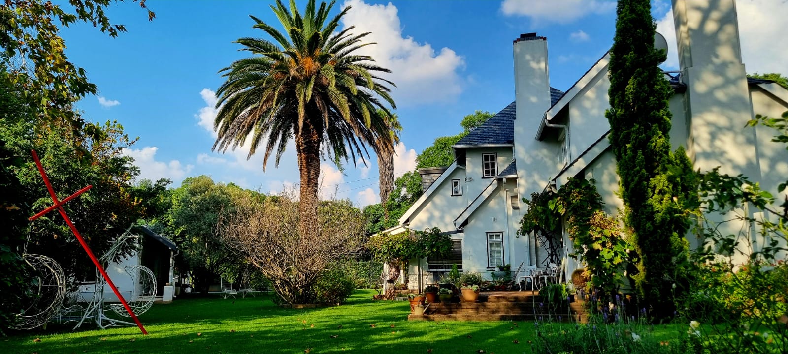 Palm tree and house on a bright day
