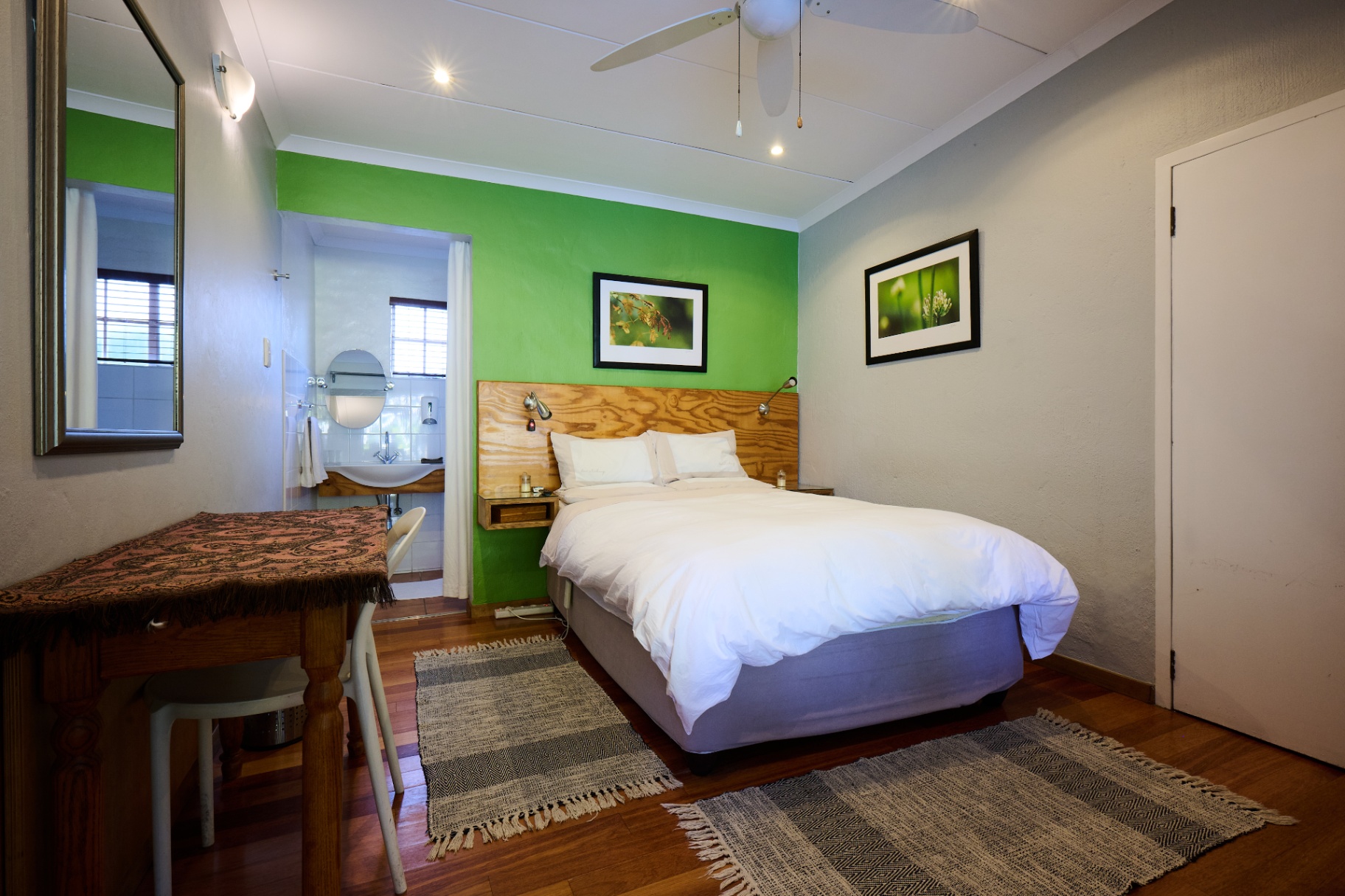 Succulent Suite — 6