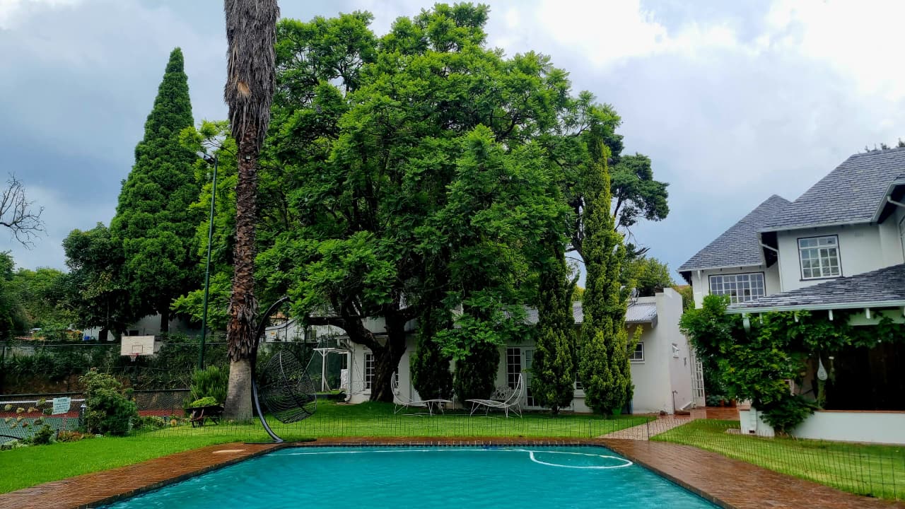 Pool framed by mature garden trees
