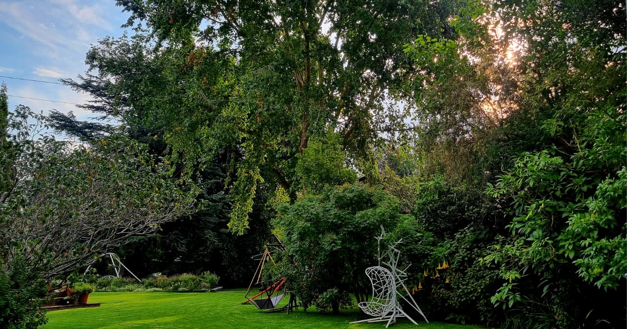 Lush green garden with hanging chairs at dusk